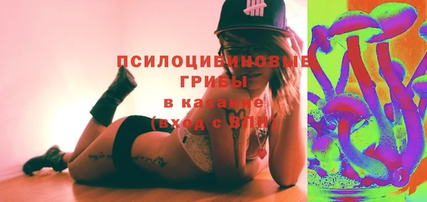 хмурый Алзамай