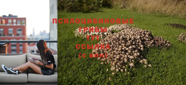 амф Алексин