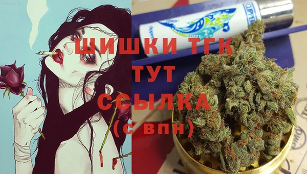 прущие грибы Алексеевка
