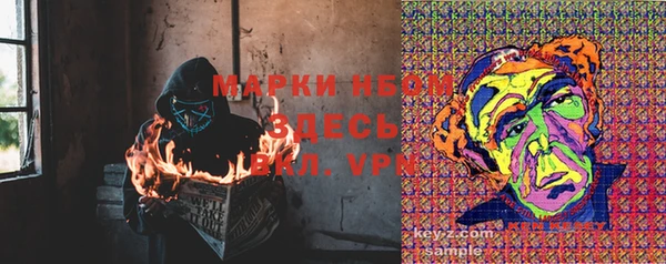 прущие грибы Алексеевка