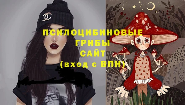 прущие грибы Алексеевка